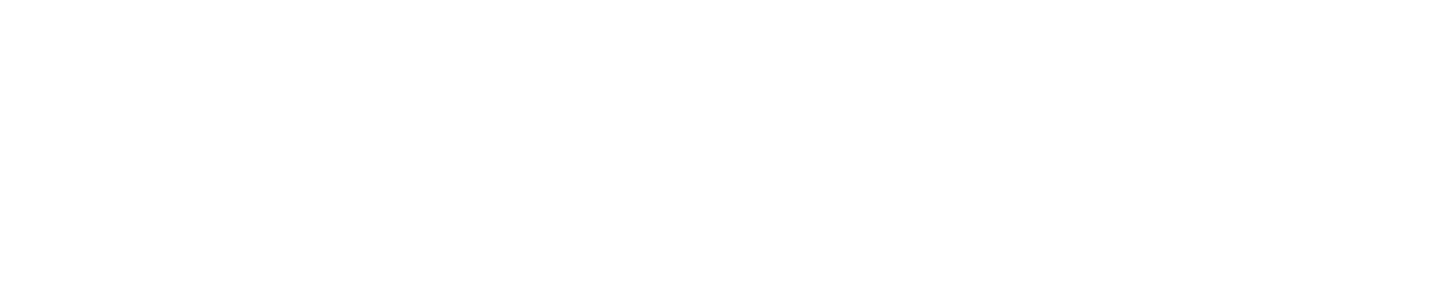 サファリガイド日記