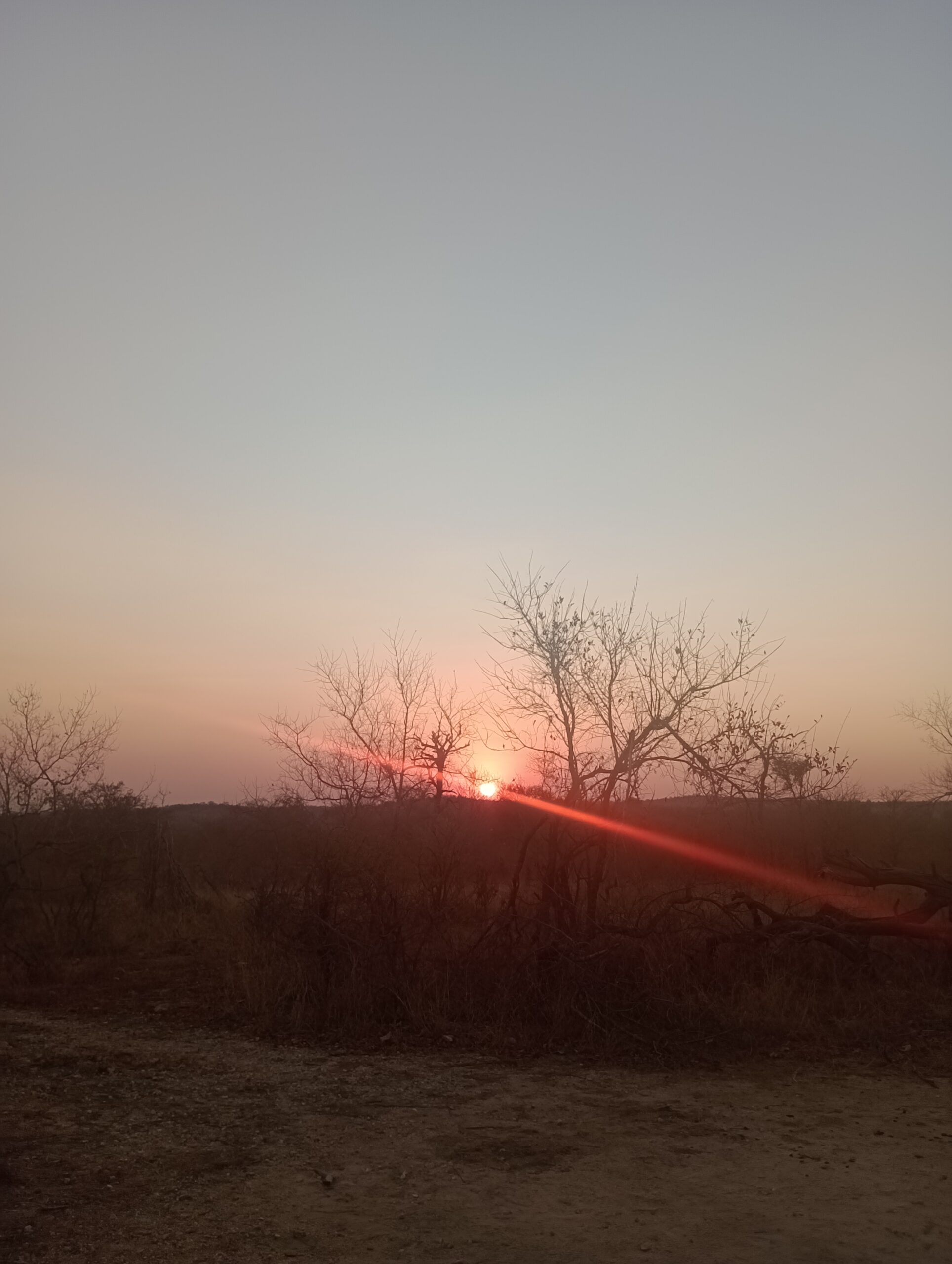 南アフリカのブッシュでの夕日。斜陽という言葉がピッタリくる風景です。ー