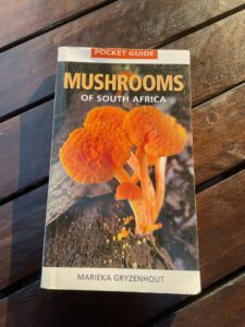 Mushrooms of South Africaという本